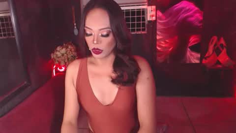 Snapshot of stellabronze chatting on February 2026 01:52:01 PM stella online show from February 2026 01:52:01 PM