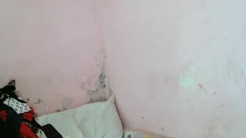 stellah2555 online show from March 2026 09:26:01 AM