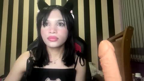 stellapapillon online show from February 2026 11:31:02 PM