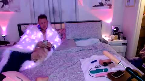 stellar_rogue online show from February 2026 02:18:01 AM