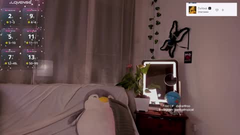 Snapshot of stellart_ chatting on January 2025 04:17:02 AM stellart_ online show from January 2025 04:17:02 AM