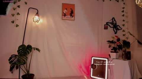 Snapshot of stellart_ chatting on February 2025 02:28:02 AM stellart_ online show from February 2025 02:28:02 AM