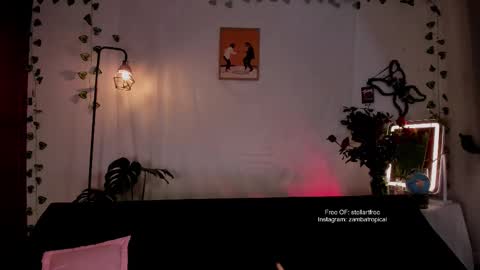 Snapshot of stellart_ chatting on February 2025 02:55:02 AM stellart_ online show from February 2025 02:55:02 AM