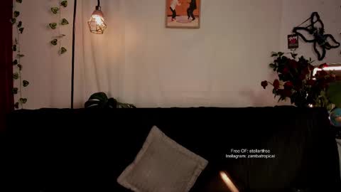 Snapshot of stellart_ chatting on February 2025 02:29:02 AM stellart_ online show from February 2025 02:29:02 AM