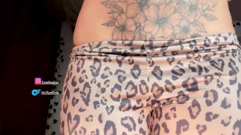 Snapshot of stellart_ chatting on October 2025 04:45:01 AM stellart_ online show from October 2025 04:45:01 AM