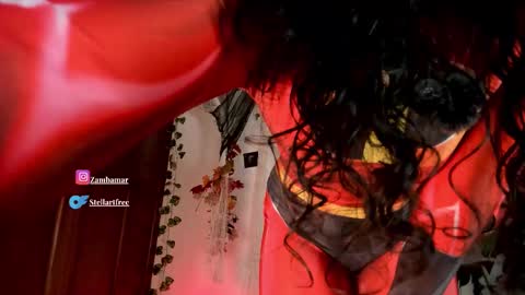 Snapshot of stellart_ chatting on October 2025 05:31:02 AM stellart_ online show from October 2025 05:31:02 AM