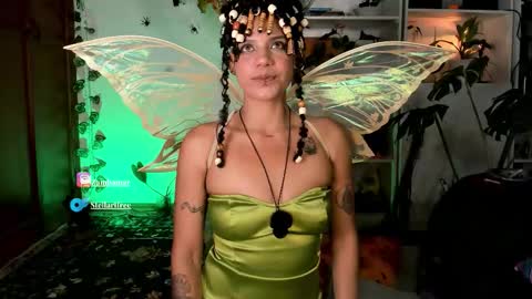 Snapshot of stellart_ chatting on November 2025 04:58:02 AM stellart_ online show from November 2025 04:58:02 AM