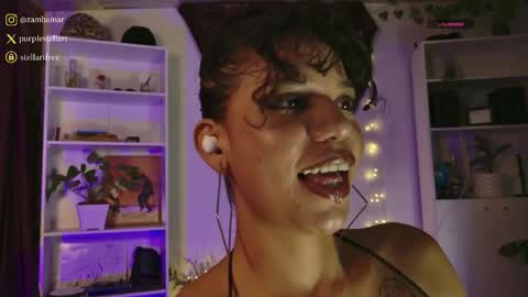 stellart_ online show from February 2026 12:15:02 AM