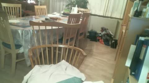 stellatrans12 online show from December 2024 03:14:01 PM