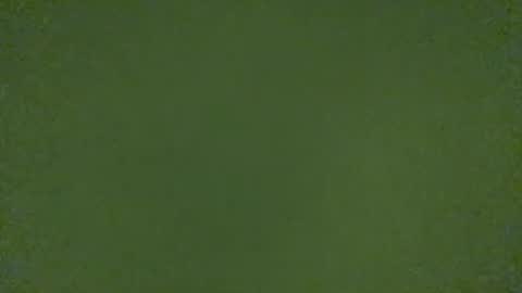 stensurfarn online show from March 2026 11:15:02 AM