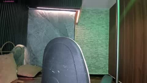 stephany_rodriguez_ online show from January 2026 12:19:01 PM