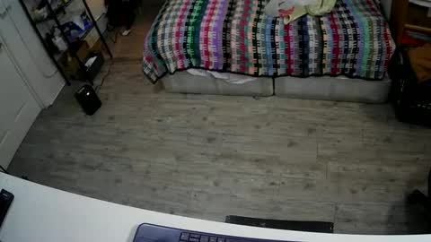 sterileball online show from December 2024 03:47:02 AM