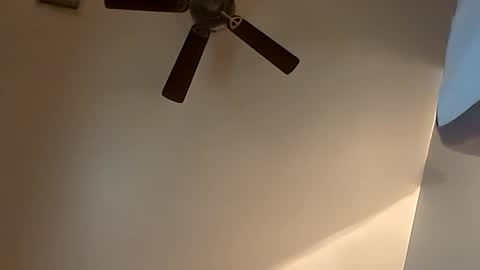 Snapshot of sterng123 chatting on October 2025 03:51:02 AM sterng123 online show from October 2025 03:51:02 AM