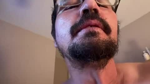 stevel84 online show from August 2026 12:21:01 PM