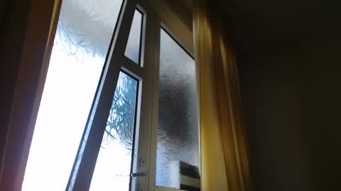 Steven online show from January 2025 11:58:02 AM