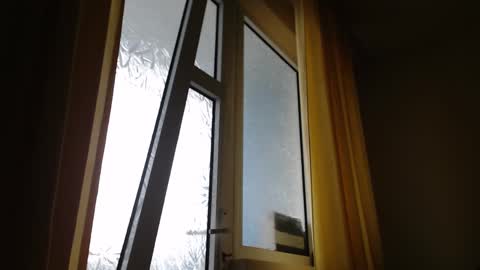 Steven online show from January 2025 11:28:02 AM