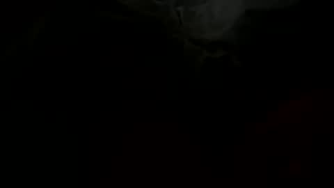 stockungs online show from February 2025 10:38:02 AM