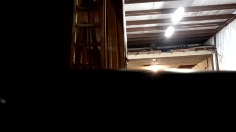 Snapshot of stokely571996 chatting on December 2024 12:48:02 AM Oval2022 online show from December 2024 12:48:02 AM