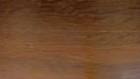 Stone Lee  online show from February 2025 11:50:01 AM