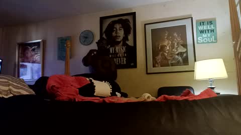 stoppageflo45662 online show from September 2025 02:29:02 PM