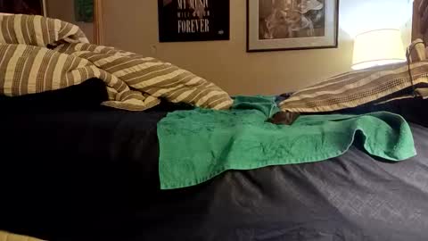 stoppageflo45662 online show from October 2025 10:55:01 AM