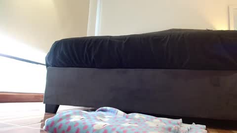 storm_hanks online show from February 2026 01:47:01 PM