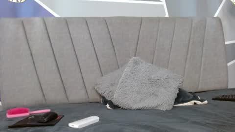 stormy_hot1 online show from July 2026 03:21:02 PM