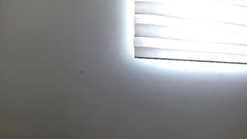 stormy_hot1 online show from August 2026 11:46:02 AM