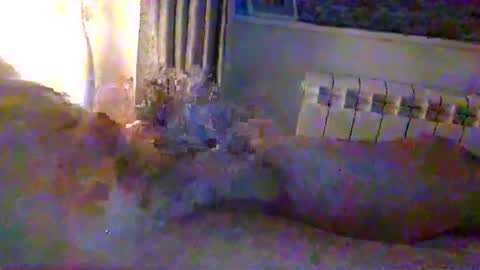 Snapshot of str8guy2015 chatting on January 2025 04:28:01 PM str8guy2015 online show from January 2025 04:28:01 PM