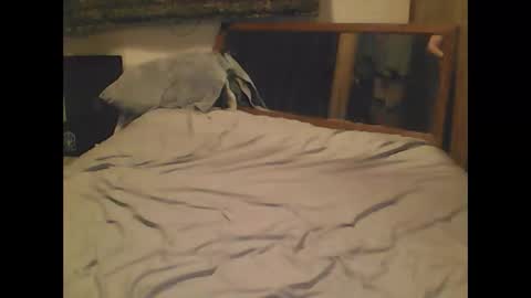 straightmaletouse online show from April 2026 08:28:02 AM