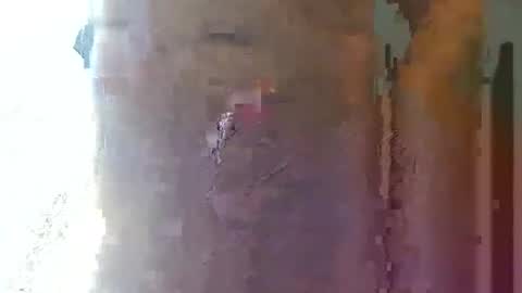 Snapshot of straightstroker81 chatting on September 2025 05:00:01 AM straightstroker81 online show from September 2025 05:00:01 AM