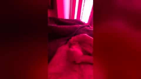 strarktyy44 online show from June 2026 10:18:01 AM