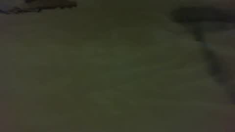 stratocatster online show from January 2025 04:46:02 PM