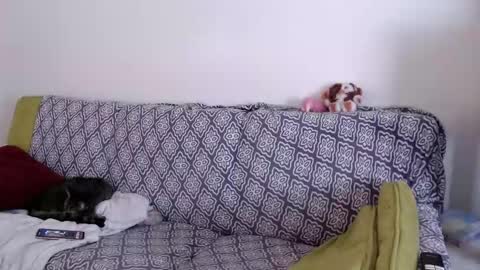 Snapshot of strawberrylotsacake chatting on March 2026 01:49:02 PM Strawberrylotsacake online show from March 2026 01:49:02 PM