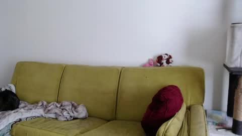 Strawberrylotsacake online show from May 2026 05:32:01 PM
