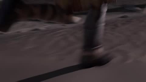 Snapshot of stream247_v2 chatting on January 2026 10:09:02 AM stream247_v2 online show from January 2026 10:09:02 AM