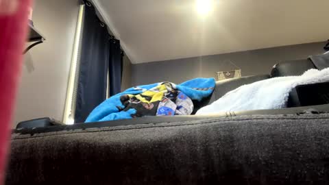 Snapshot of stroking33again chatting on January 2025 07:10:02 PM stroking33again online show from January 2025 07:10:02 PM