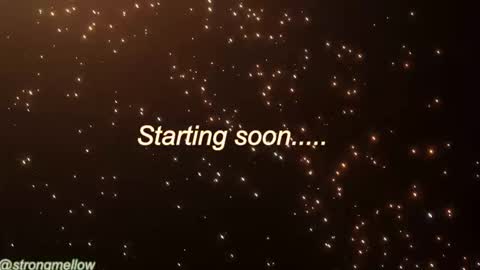 strongmellow online show from November 2025 02:49:02 PM