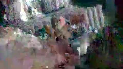 stud_1975 online show from March 2025 08:05:01 AM