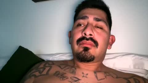 Snapshot of stylezg805 chatting on October 2025 08:34:02 AM stylezg805 online show from October 2025 08:34:02 AM