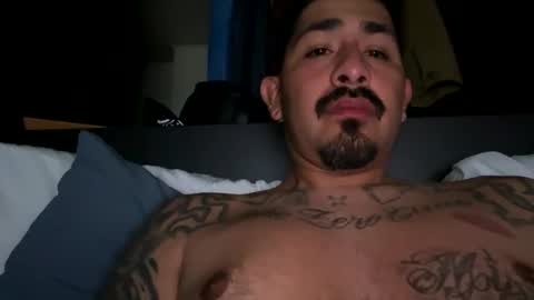 Snapshot of stylezg805 chatting on March 2026 07:44:01 AM stylezg805 online show from March 2026 07:44:01 AM