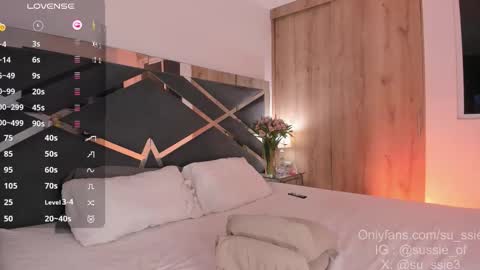 Snapshot of su_ssie chatting on March 2026 02:06:02 AM su_ssie online show from March 2026 02:06:02 AM