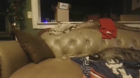 Snapshot of sub_michael41 chatting on December 2024 06:52:02 AM sub_michael41 online show from December 2024 06:52:02 AM