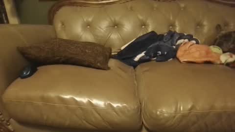 Snapshot of sub_michael41 chatting on January 2025 05:05:01 AM sub_michael41 online show from January 2025 05:05:01 AM