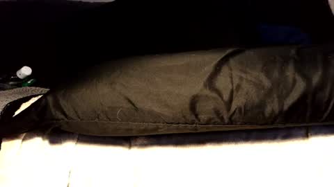 between my legs online show from June 2026 03:35:02 PM