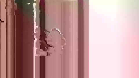 Snapshot of suckmeoffuk chatting on December 2025 02:56:02 PM JJ online show from December 2025 02:56:02 PM