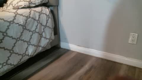 Snapshot of sugar1014 chatting on September 2025 06:40:01 PM sugar1014 online show from September 2025 06:40:01 PM