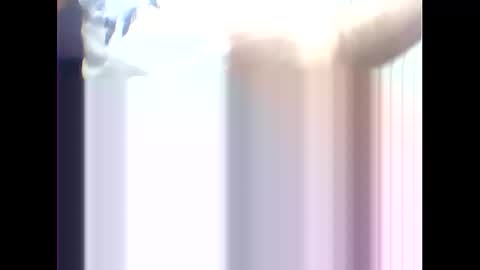 Snapshot of suleyman38 chatting on February 2025 12:16:02 PM suleyman38 online show from February 2025 12:16:02 PM