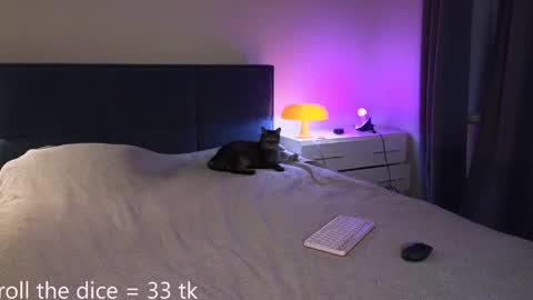 Amy online show from May 2026 06:13:01 PM