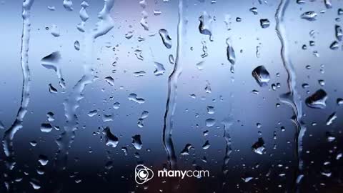 Snapshot of sunnybigboy88 chatting on October 2025 04:04:02 PM sven online show from October 2025 04:04:02 PM